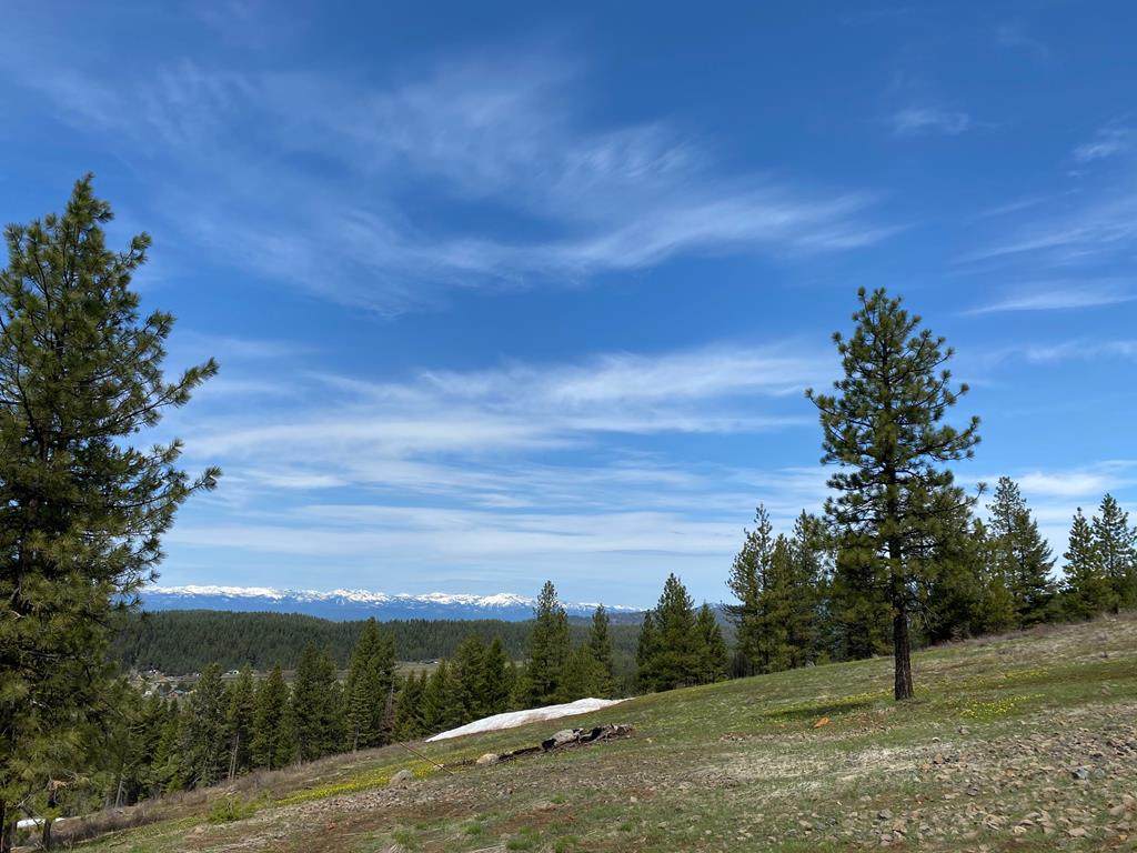 Lot 18 Harrington Place - Photo 1