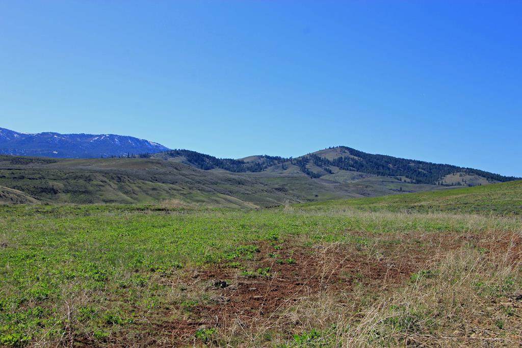 TBD Hornet Creek Road - Photo 1