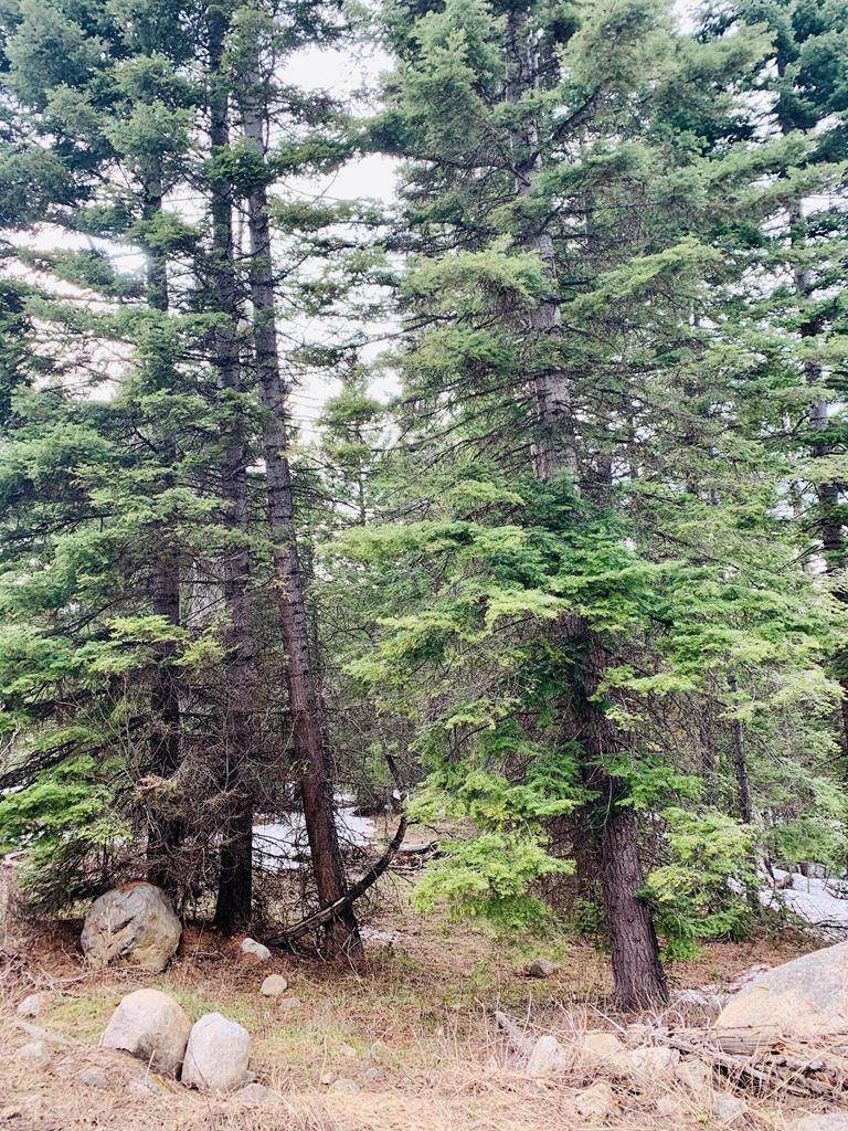 TBD Majestic View Drive - Photo 1