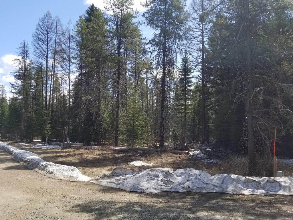 2490 Westwood Drive - Photo 1