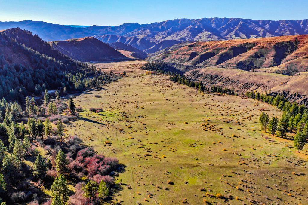 0 Dairy Mountain Road - Photo 1