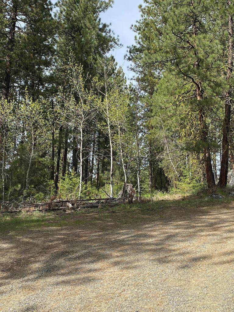 TBD Stanley Drive - Photo 1
