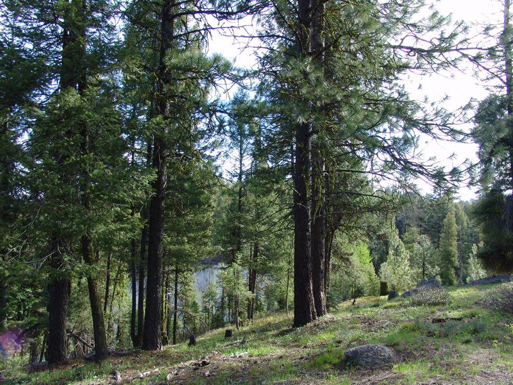 B52 Osprey Ridge Road - Photo 1
