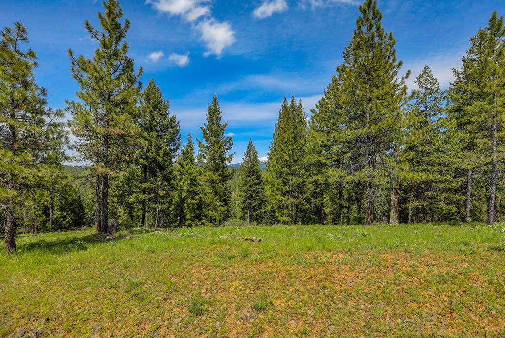 Lot 49 Pine West Drive - Photo 1
