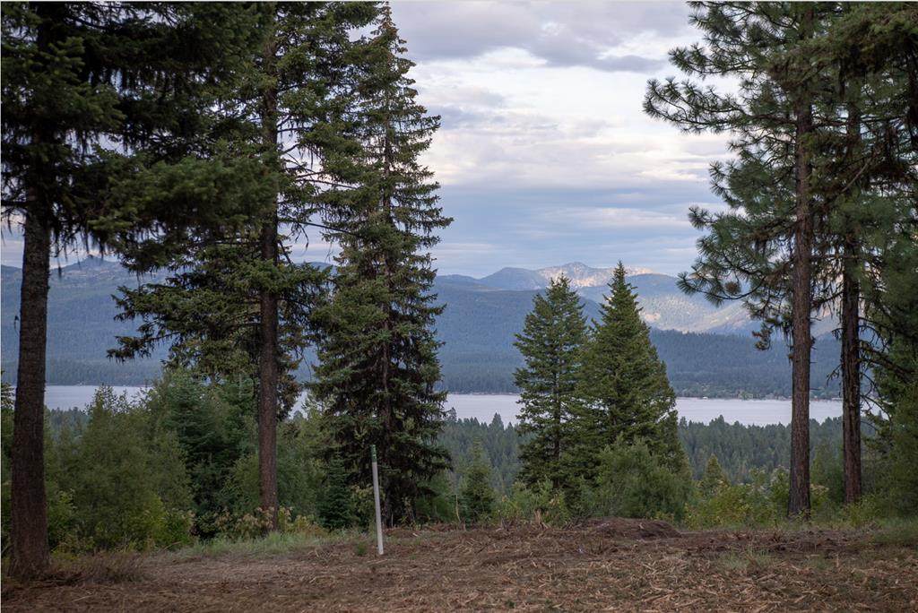 661 Migratory Ridge - Photo 1