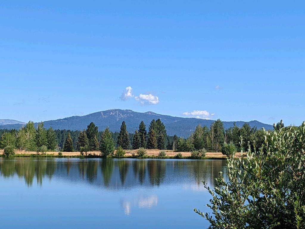 TBD River Ranch Road - Photo 1