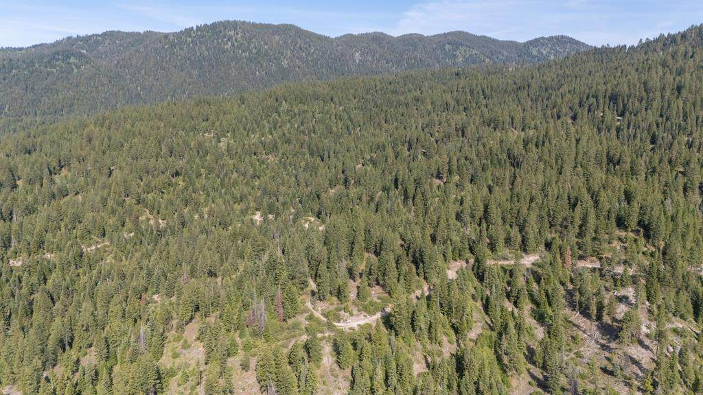 TBD 2 Warm Lake Road - Photo 1