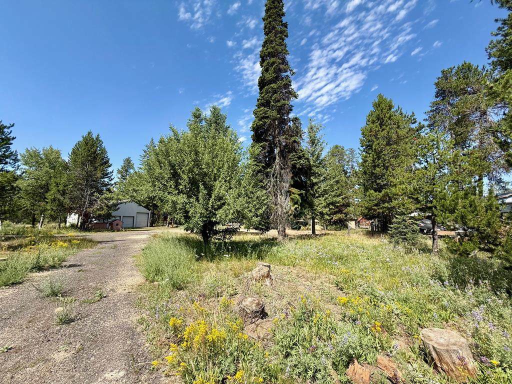 12989 Patty Drive - Photo 1