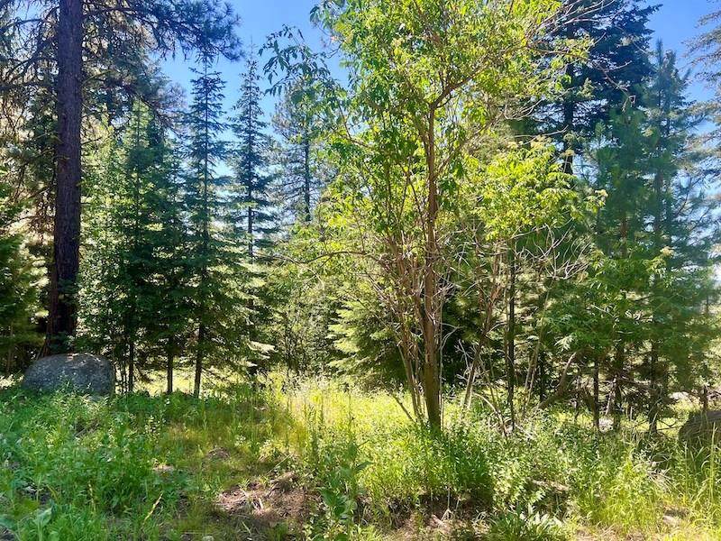 Lot 50 Majestic View Drive - Photo 1