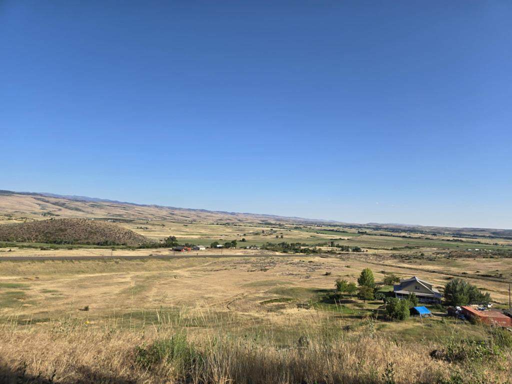 TBD Mesa Road - Photo 1