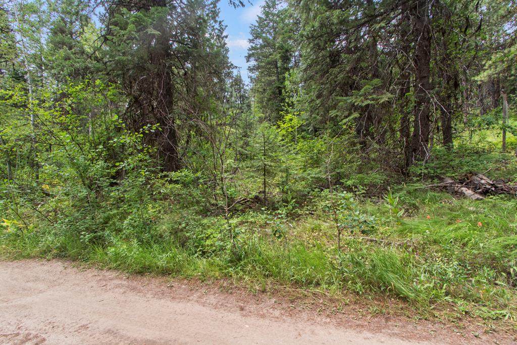 517 Susan Road - Photo 1