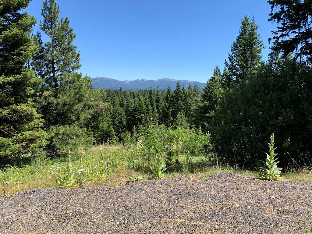 4333 Song Sparrow Court - Photo 1