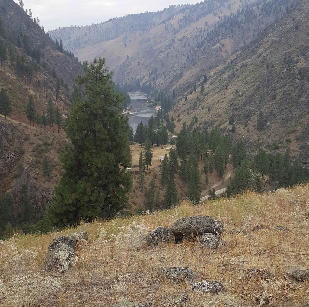 8,18, 19 Big Salmon River Road - Photo 1 8,18, 19 Big Salmon River Road - Photo 1