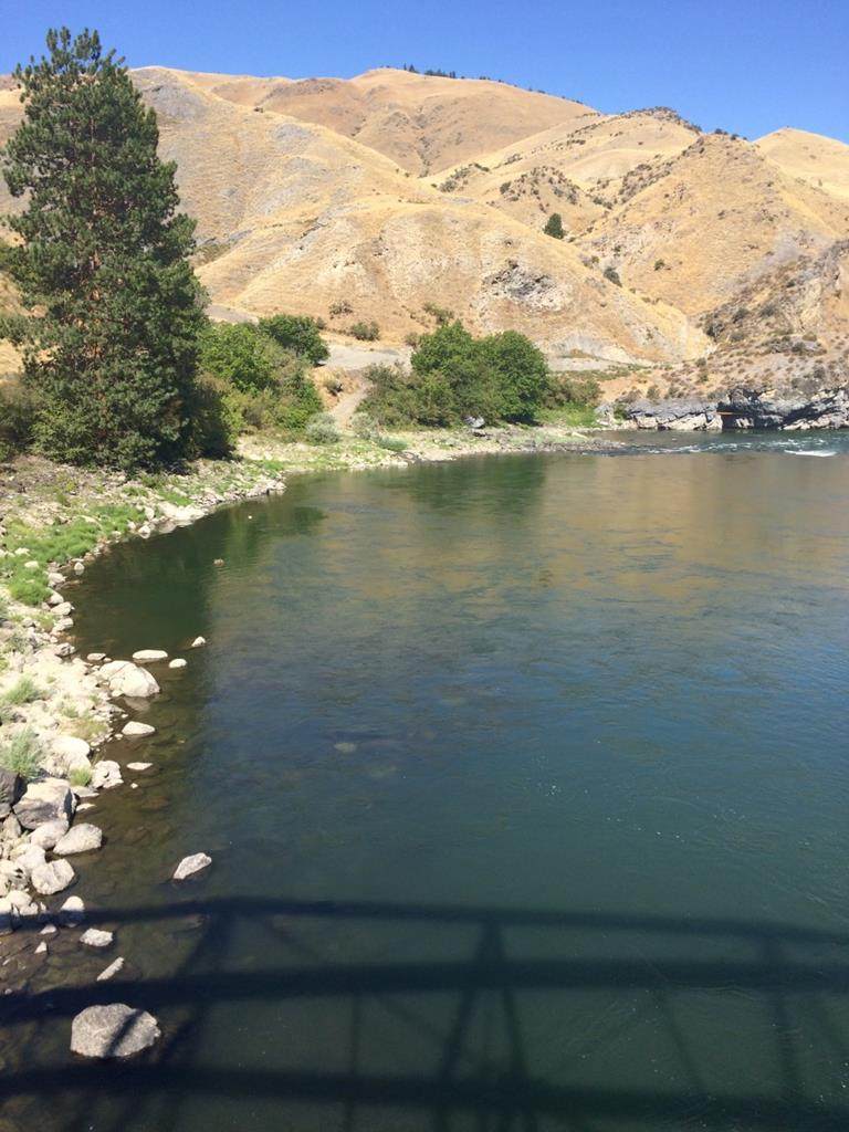 Lot 3 Cow Creek Road - Photo 1