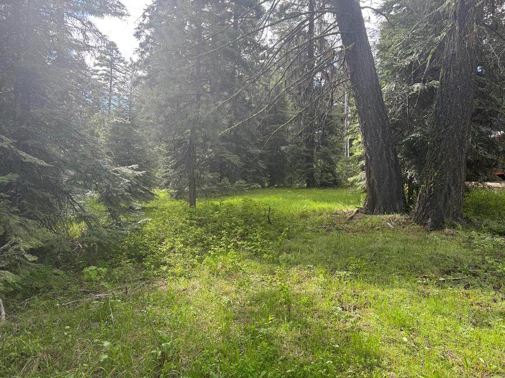 2150 Lydia Drive - Photo 1
