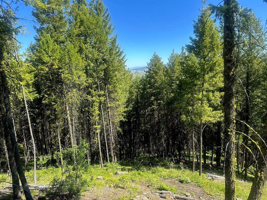 1562 Crown Point Parkway - Photo 1