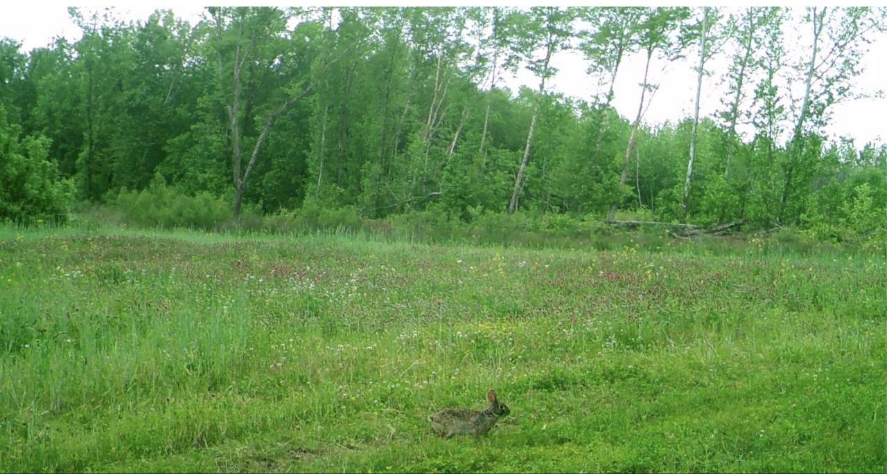 00 Bakers Chapel Rd - Photo 1