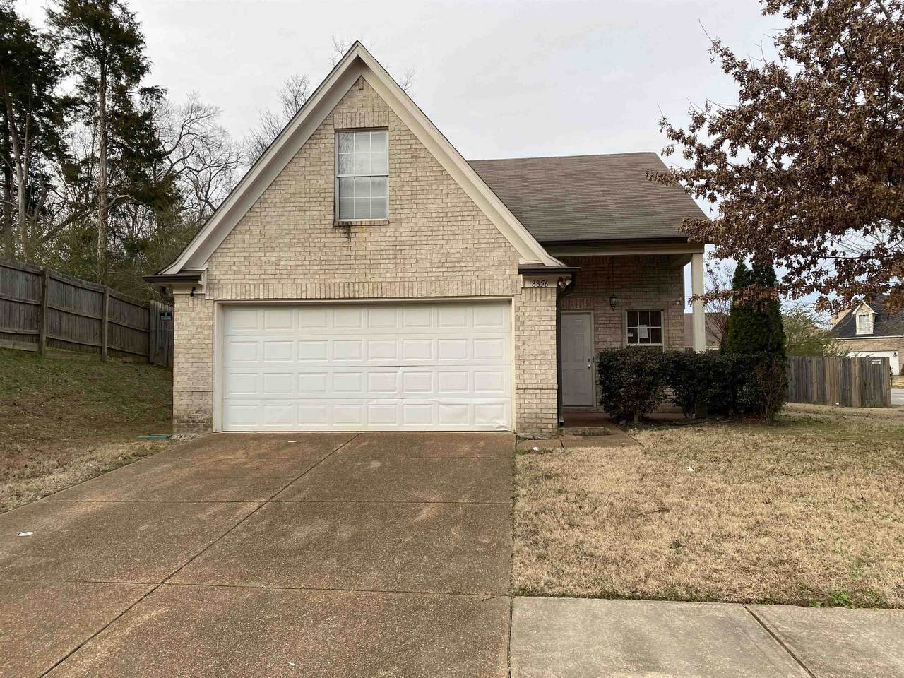 8856 Versilia Ave - Photo 1