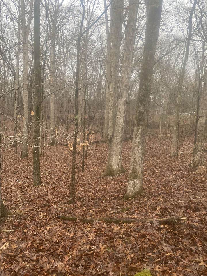 144 Pisgah Rd - Photo 1