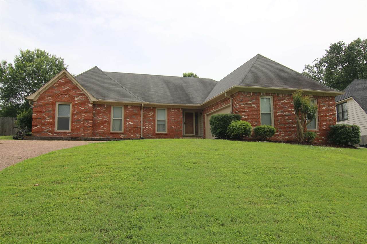 8917 Carrollwood Ln - Photo 1
