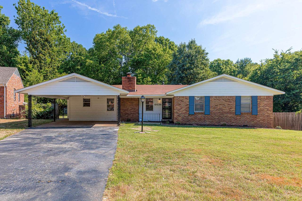 4436 Tena Dr - Photo 1