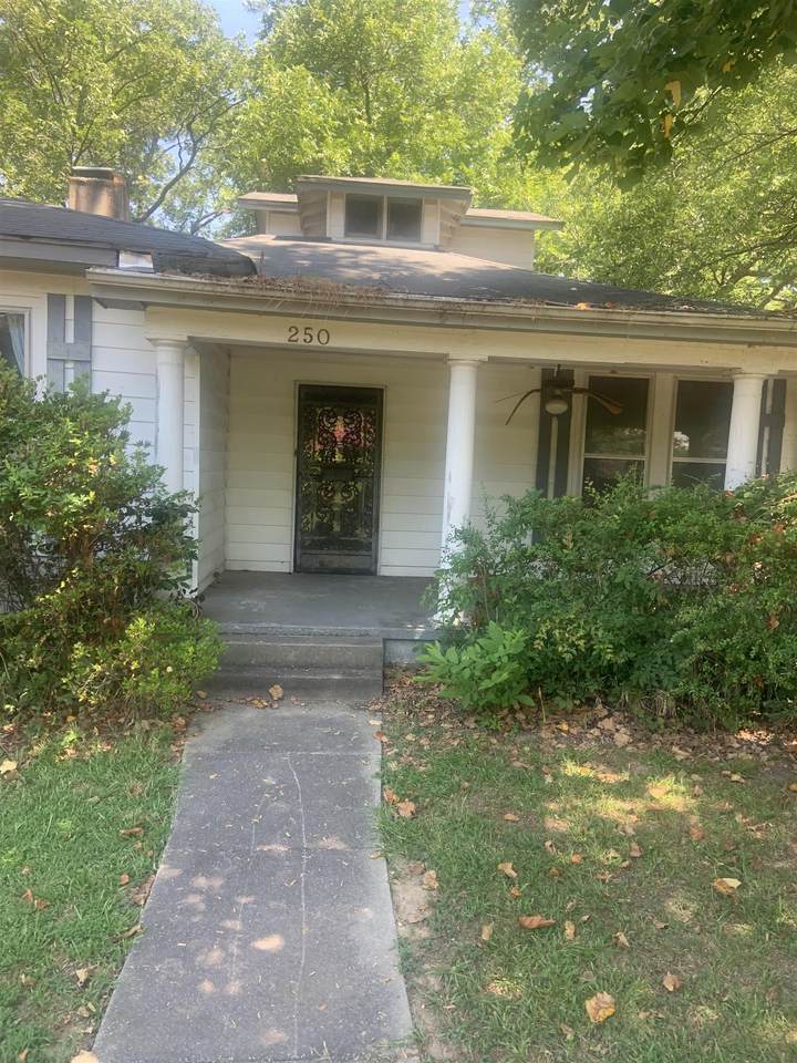 250 Poplar Ave - Photo 1