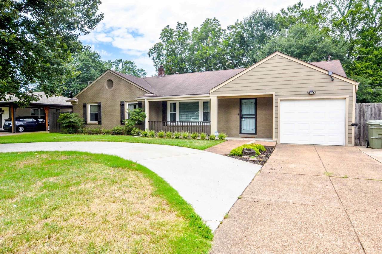 559 White Station Rd - Photo 1