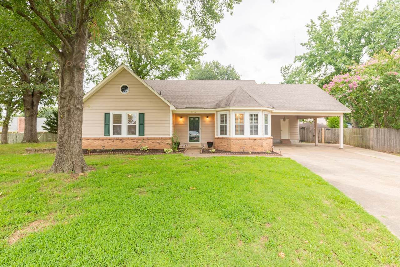 7214 Grapevine Cv - Photo 1