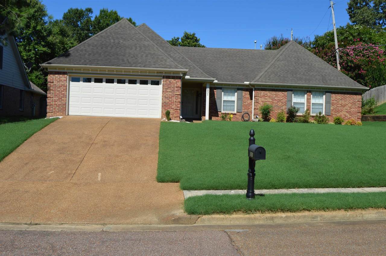 231 Leaf Trail Ln - Photo 1
