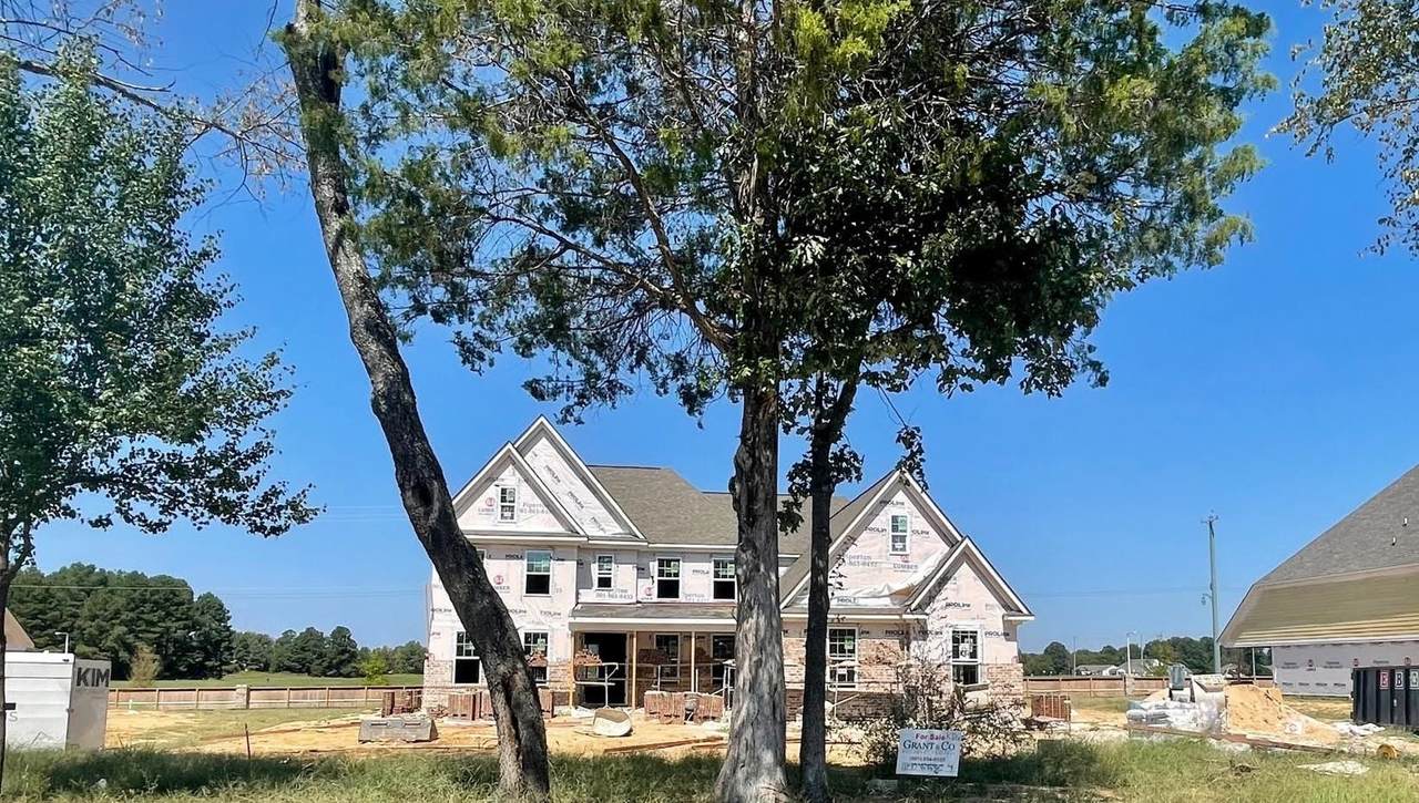 11150 Shelby Post Rd - Photo 1