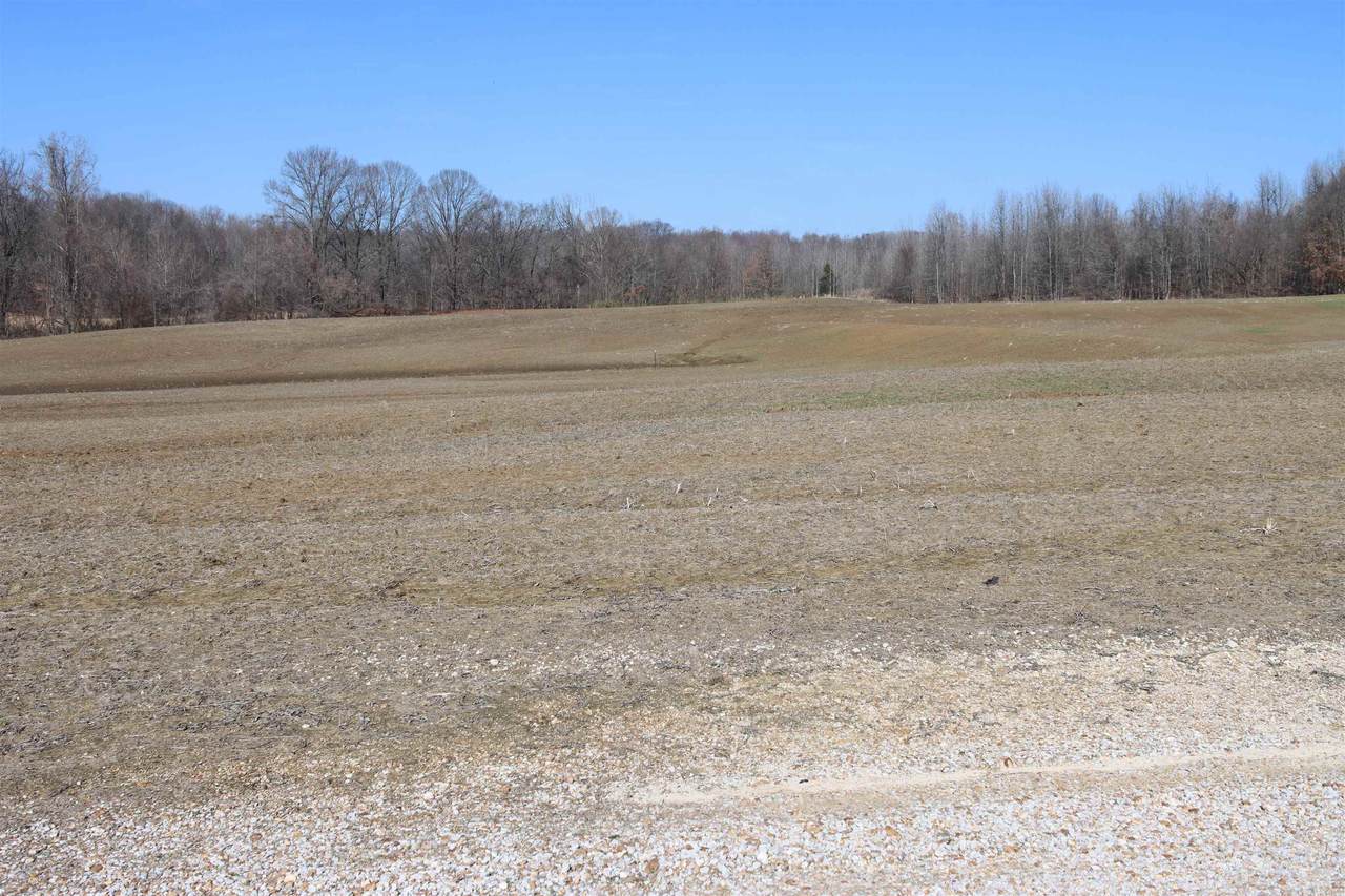 LOT 3 Hwy 51 Hwy - Photo 1