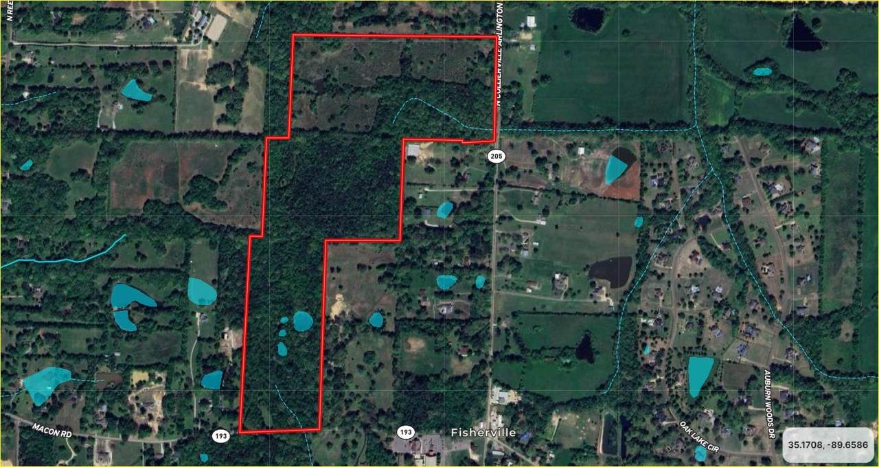 11764 Macon Rd - Photo 1