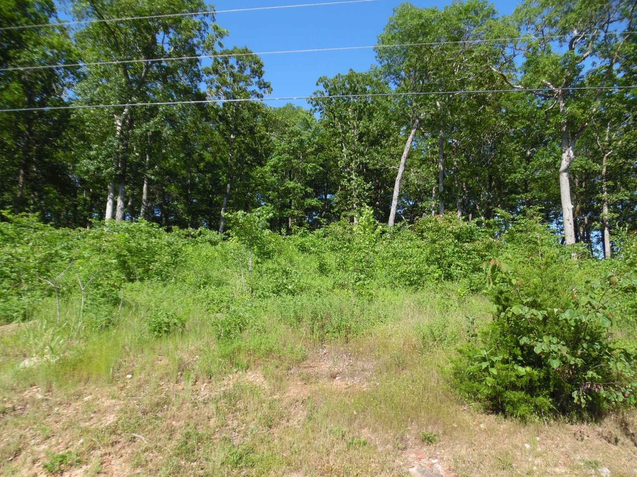 83-85 Adam Loop - Photo 1