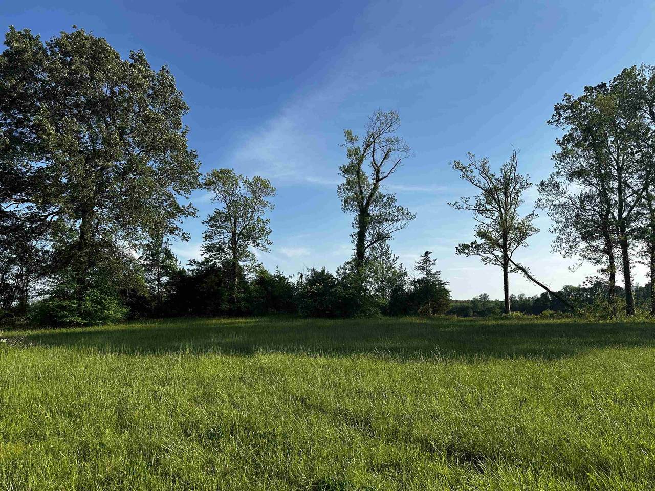 LOT 31 Catfish Ln - Photo 1