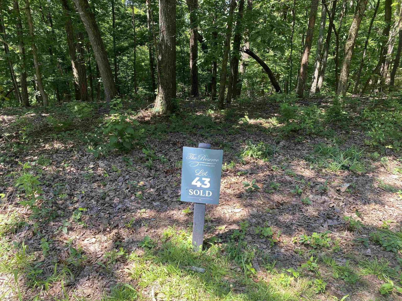 43 Breathtaking Loop - Photo 1