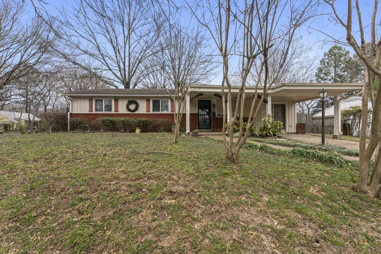 319 Homeville Rd - Photo 1