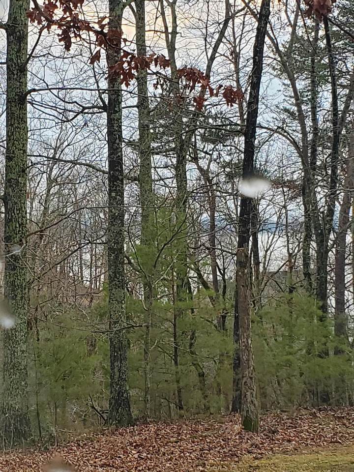https://bt-photos.global.ssl.fastly.net/memphis/1280_boomver_1_10202471-2.jpg