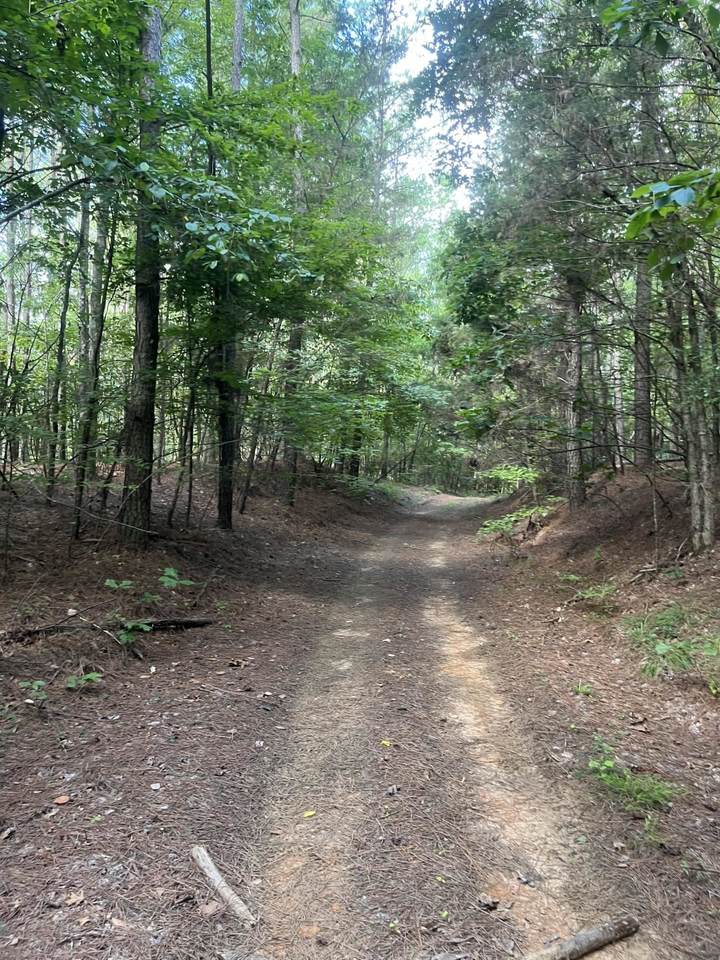  County Road 437 Rd - Photo 1