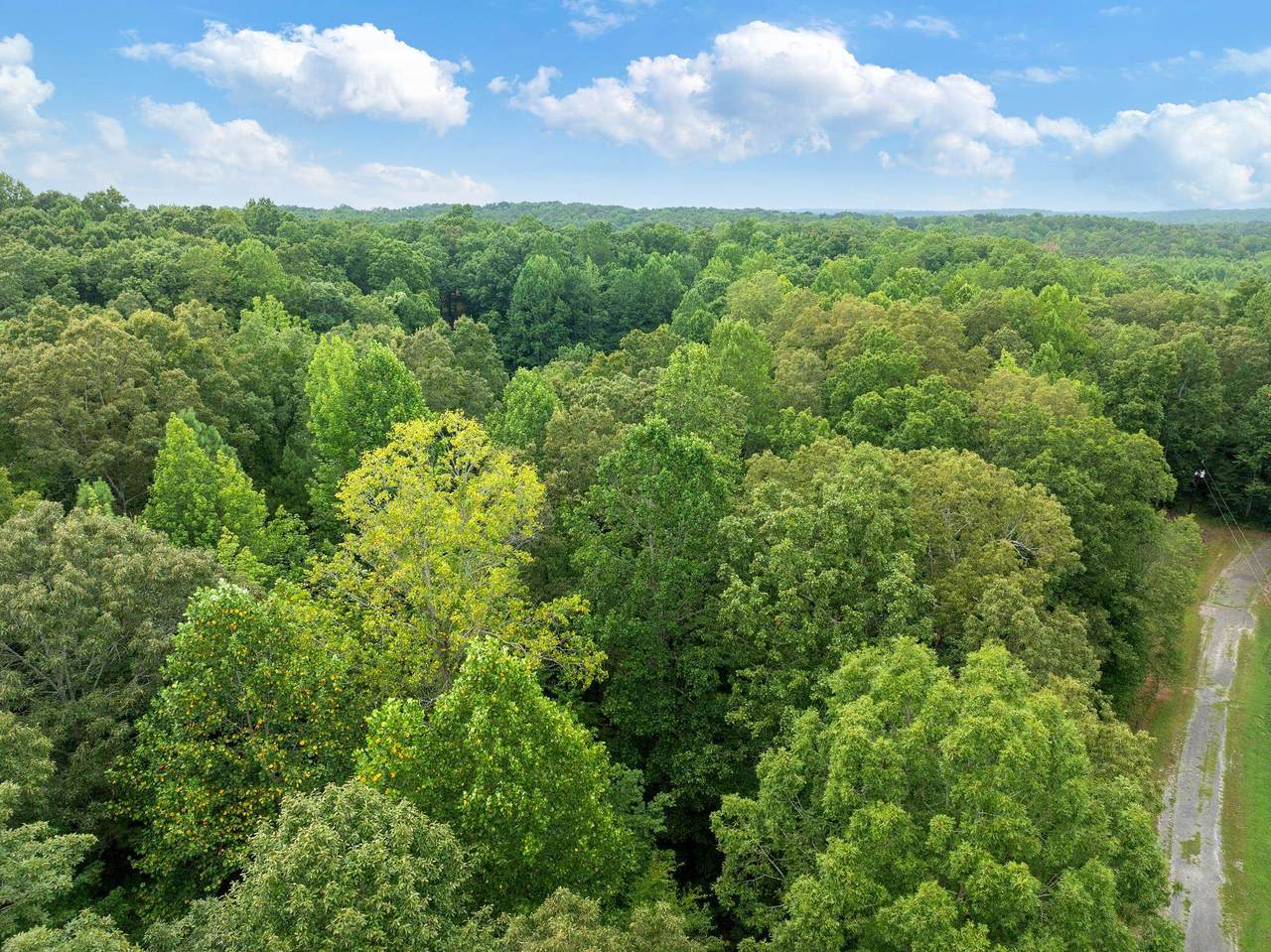 213 Jason Hollow Rd - Photo 1