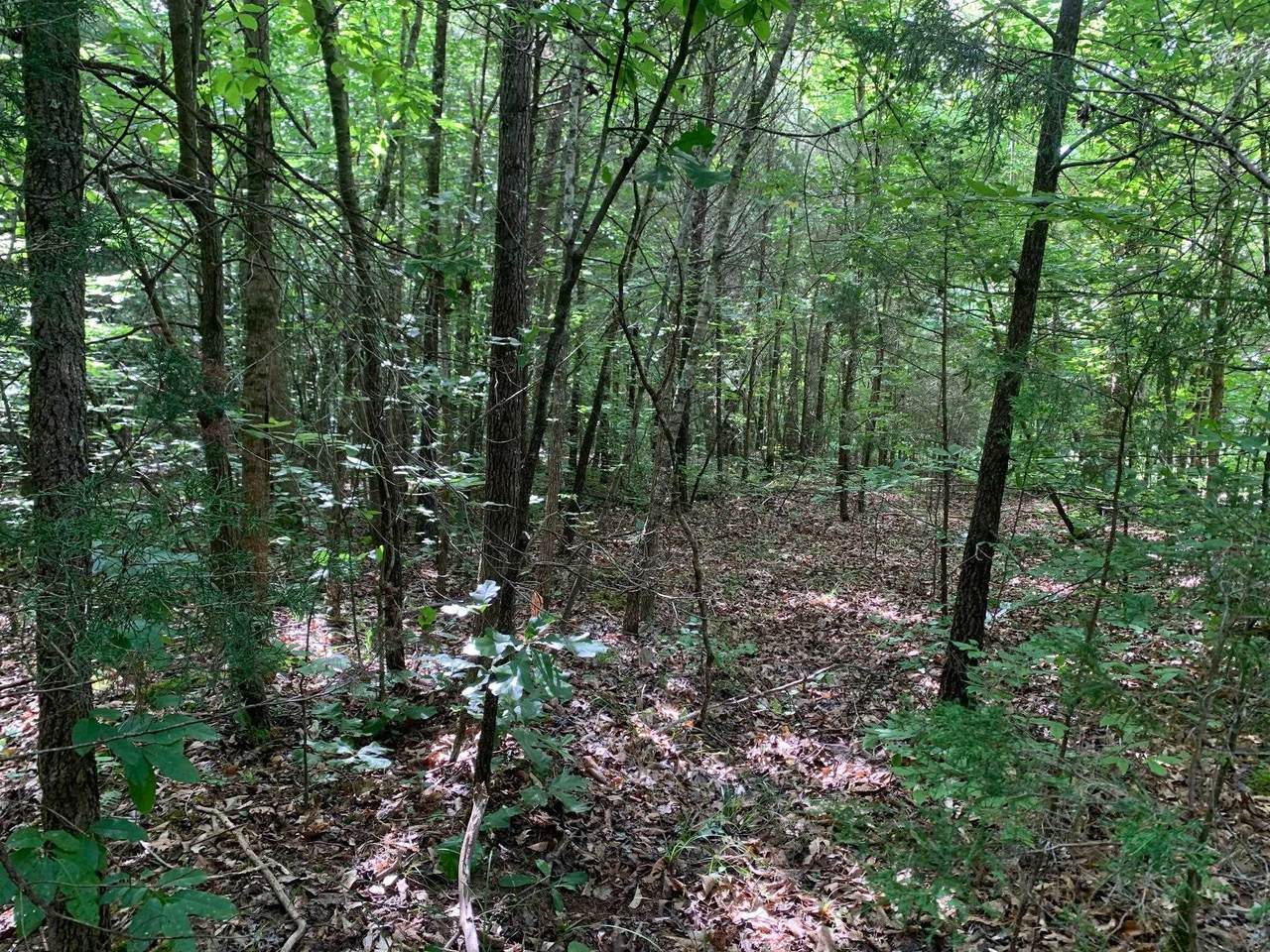 CAVE HOLLOW Address Not Published Ln - Photo 1