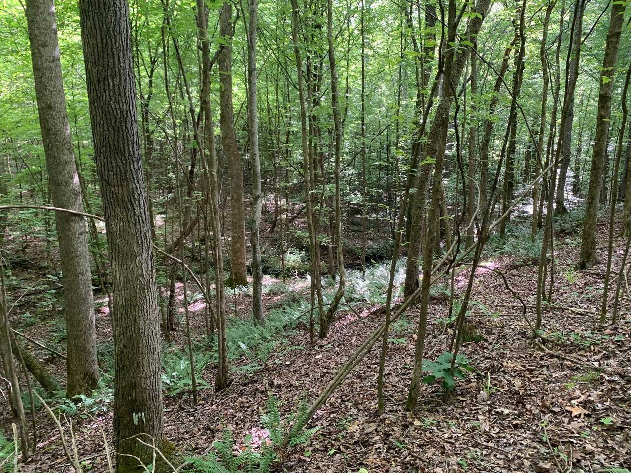 https://bt-photos.global.ssl.fastly.net/memphis/1280_boomver_1_10204855-2.jpg
