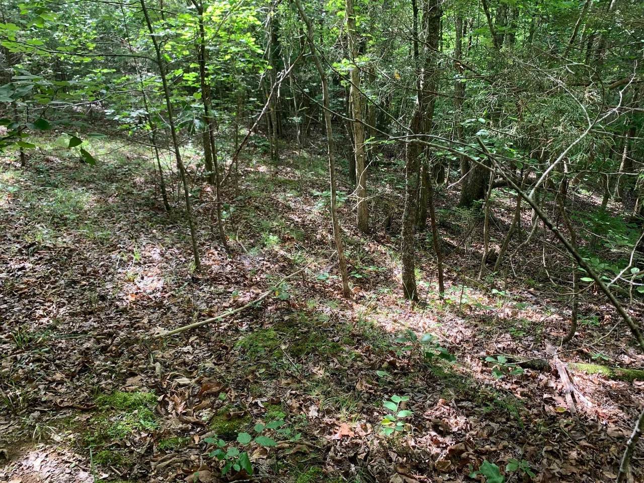 https://bt-photos.global.ssl.fastly.net/memphis/1280_boomver_1_10204855-2.jpg