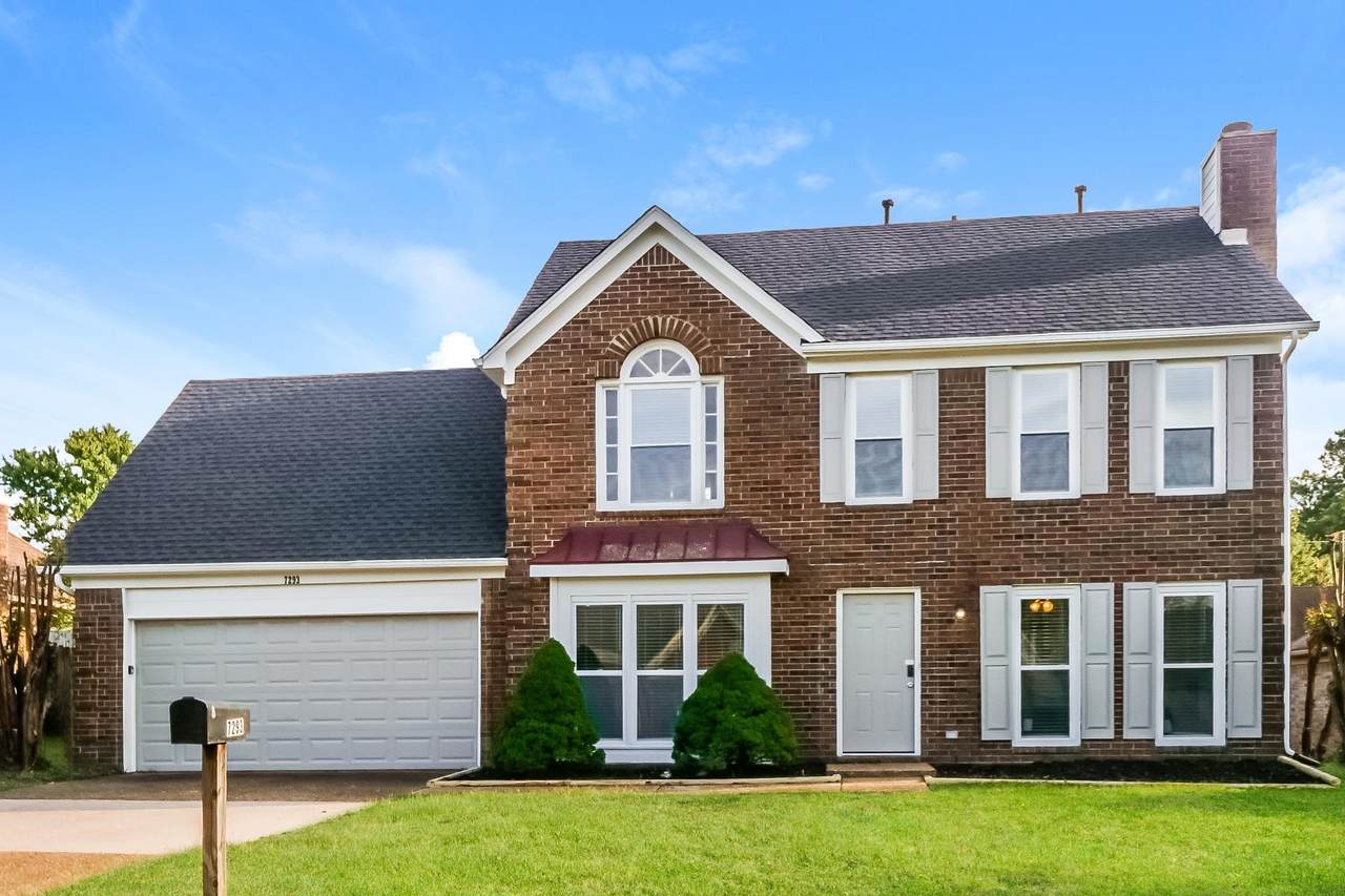 7293 Schilling Cv - Photo 1