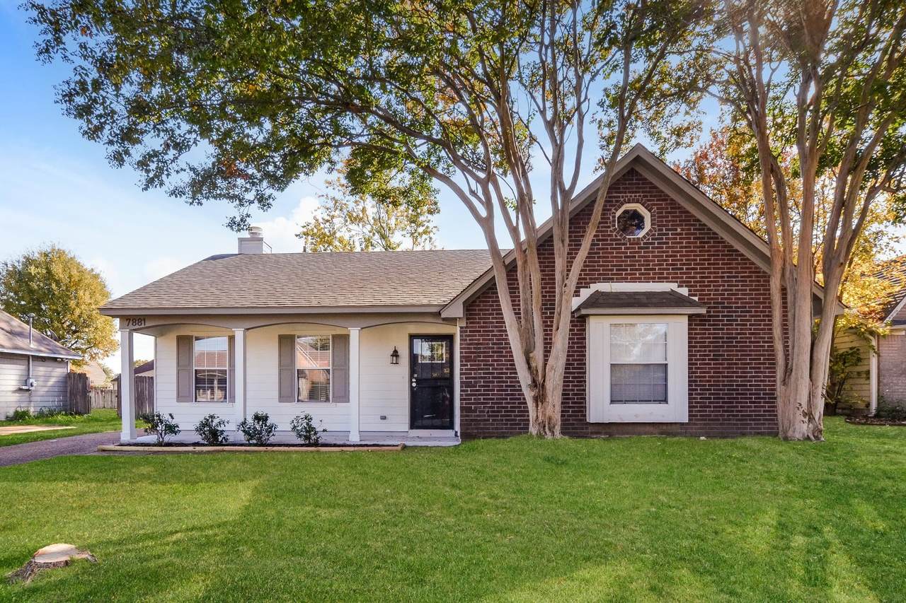 7881 Collins Wood Cv - Photo 1