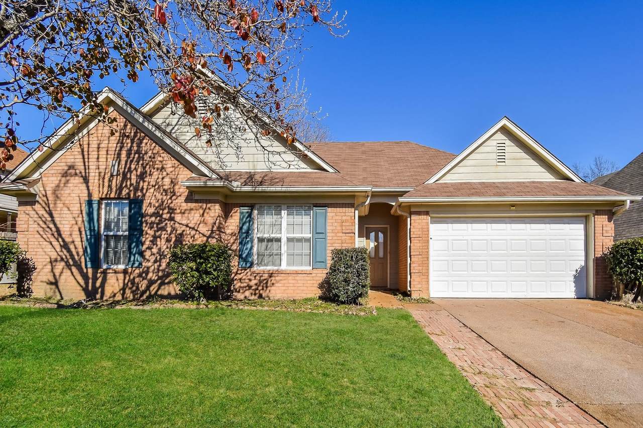 9254 Tamhaven Dr - Photo 1