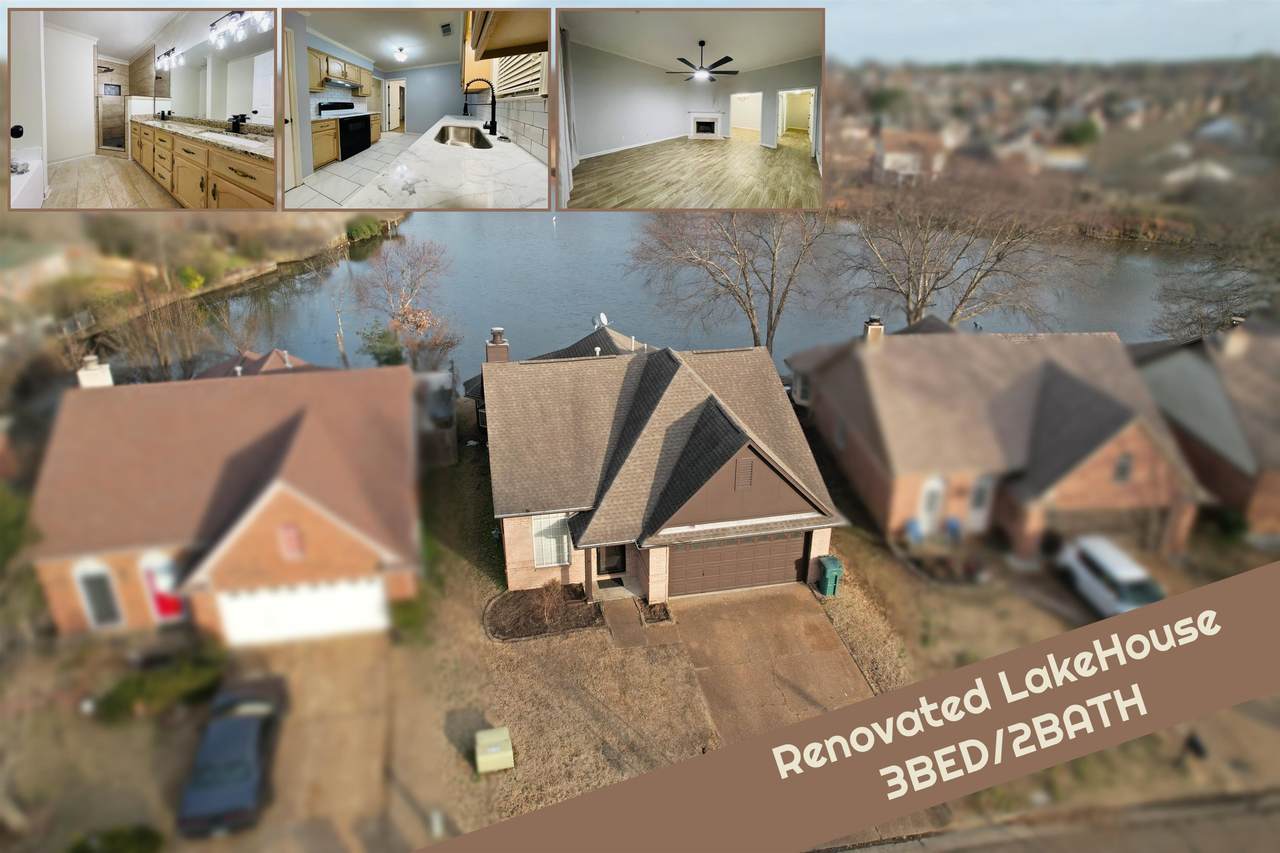 2256 Lake Springs Ln - Photo 1