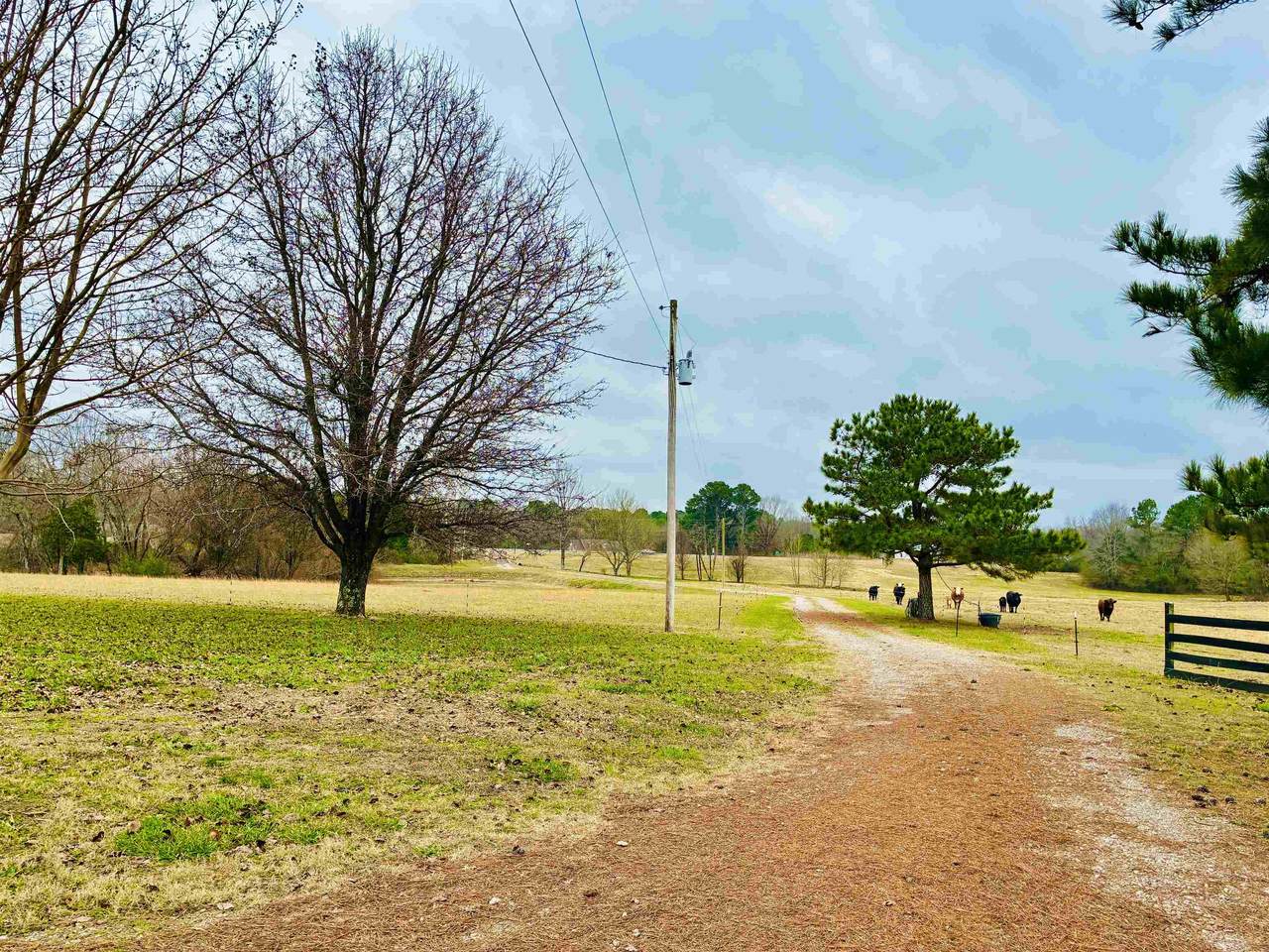 15 Us Highway 64 Hwy - Photo 1