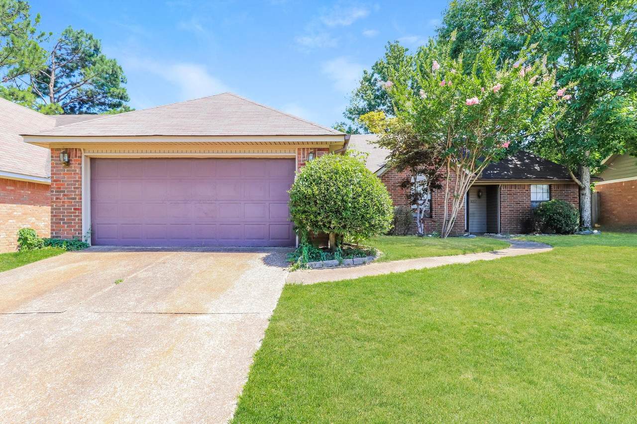 8257 River Creek Cv - Photo 1