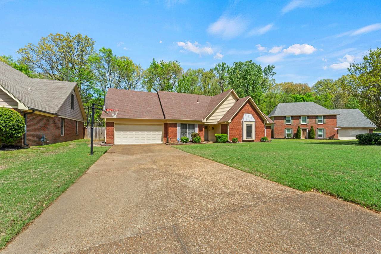 https://bt-photos.global.ssl.fastly.net/memphis/1280_boomver_1_10218740-2.jpg