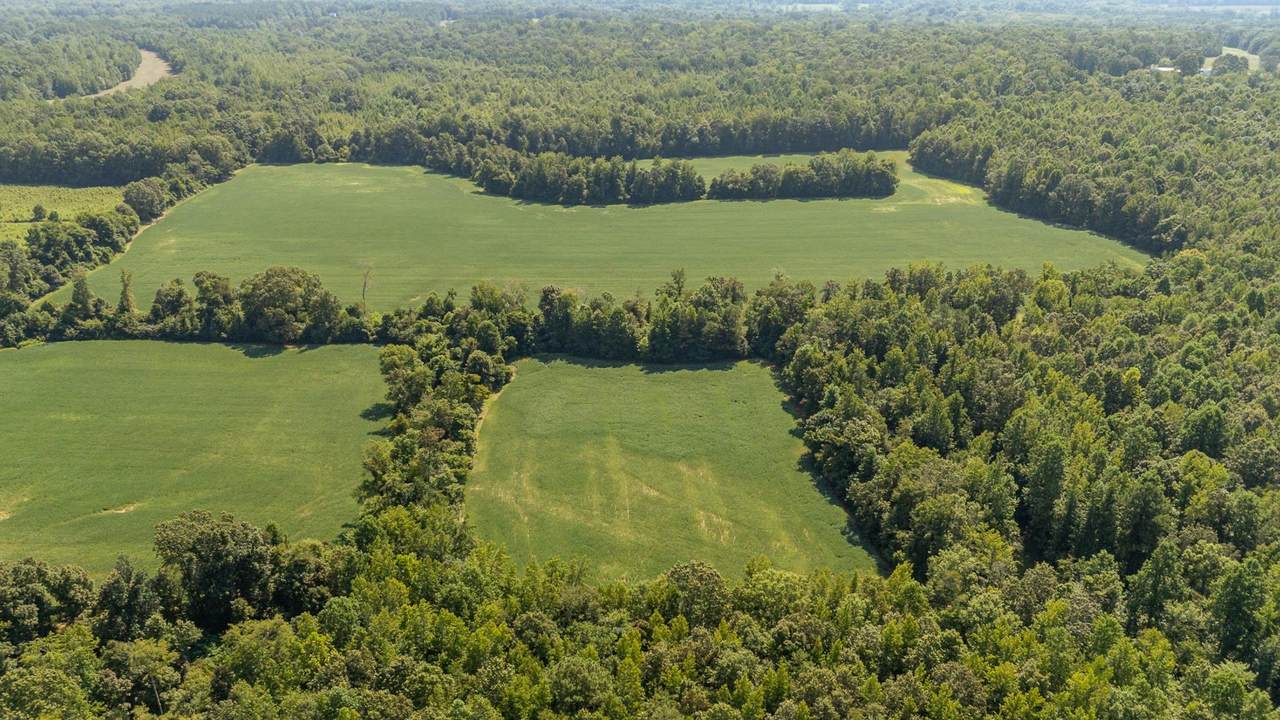 2395 Pocahontas Rd - Photo 1